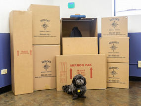 packing-boxes